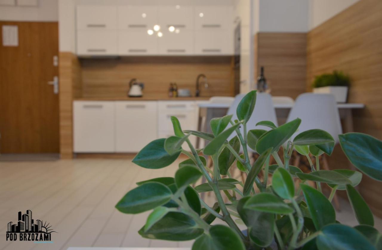 אוסטרוני מורסקי Pod Brzozami Apartamenty Dwie Sosny מראה חיצוני תמונה